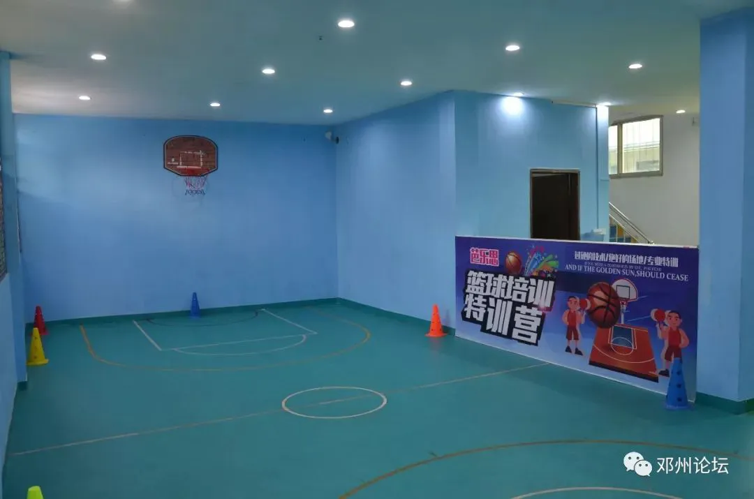 青少年篮球运动员体能训练特征包括_1